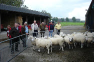 Duitse schapenhouders